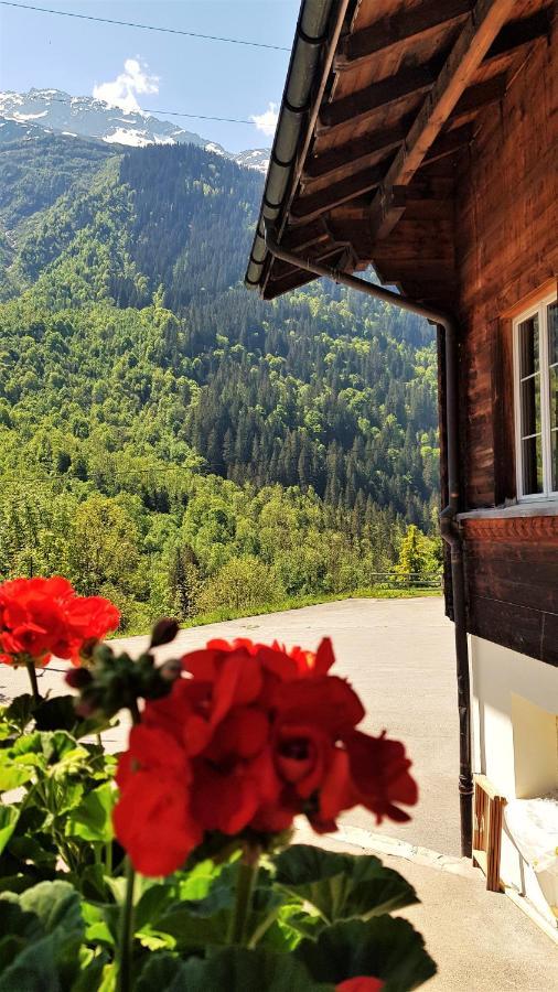 Triftblick Bed and Breakfast Gadmen Exteriör bild